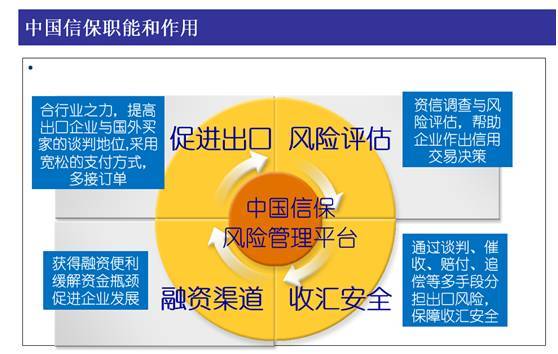跨境電商產業鏈齊聚榕城 企業信用調查與評估全解析